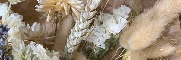 Fleurs séchées